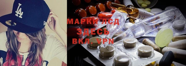 прущая мука Почеп