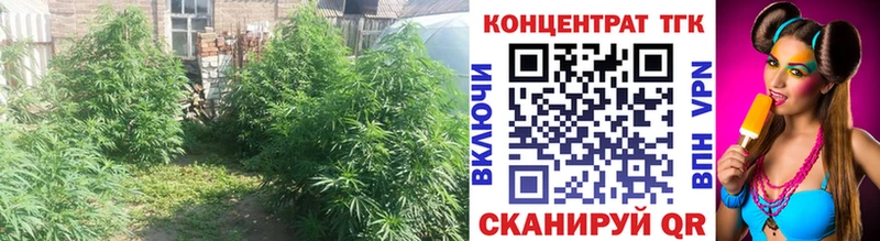 Дистиллят ТГК Wax  где купить наркоту  Тосно 